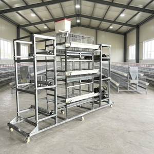 Sistema <span class=keywords><strong>de</strong></span> Jaulas Automáticas Tipo H para Gallinas Ponedoras, Acero Q235 Galvanizado en Caliente, Capacidad para 96-160 Gallinas, Vida Útil <span class=keywords><strong>de</strong></span> 10-15 Años - Product Image 2