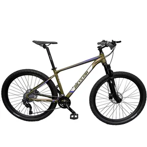 Fabrik mountainbike besten preis sri lanka/mtb 26 stahl gewöhnlichen scheibenbremse/titan mountainbike stahlrahmen