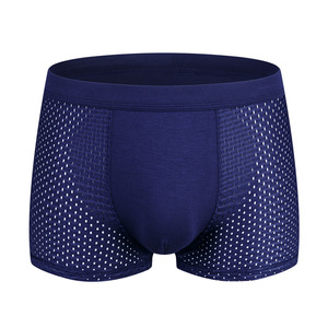 Boxers pour hommes grande taille en modal et soie glacée, transparents, respirants, fins, pour l'été, sous-vêtements pour jeunes - Product Image 1