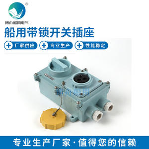 สวิตช์และเต้ารับแบบล็อคได้และไม่ล็อคได้ IEC RSIL2-2 สีเหลือง ผลิตภัณฑ์ฮาร์ดแวร์ทางทะเล - Product Image 5