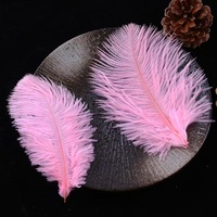 Plumes d'autruche roses moelleuses de haute qualité de 15-20 cm (6-8 pouces) pour décorations de fête, motif teinté