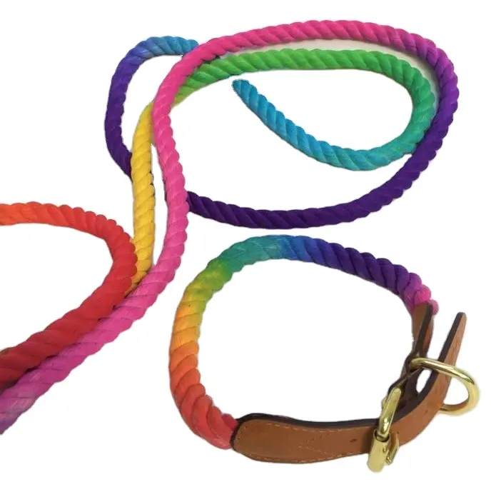 Rainbow Ombre Rope Leash And Genuine Leather Dog Collar Set High Quality Dog and Pet Products All Colors Luxury Durable Braided