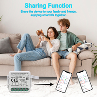 Módulo de Interruptor Inteligente Tuya ZigBee 3.0, 1 Canal, Contacto Seco, DC 12/24V AC 100-240V, Interruptor Inteligente para el Hogar, Compatible con Alexa