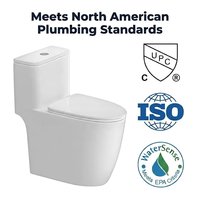 WC monobloc à double chasse, chasse à jet siphonique, hauteur confort, conforme ADA, CUPC, WaterSense, entièrement émaillé blanc