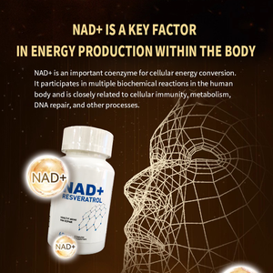 Капсулы OEM Healthcare Supplements с никотинамидадениндинуклеотидом (НАД) и транс-ресвератролом - Product Image 5