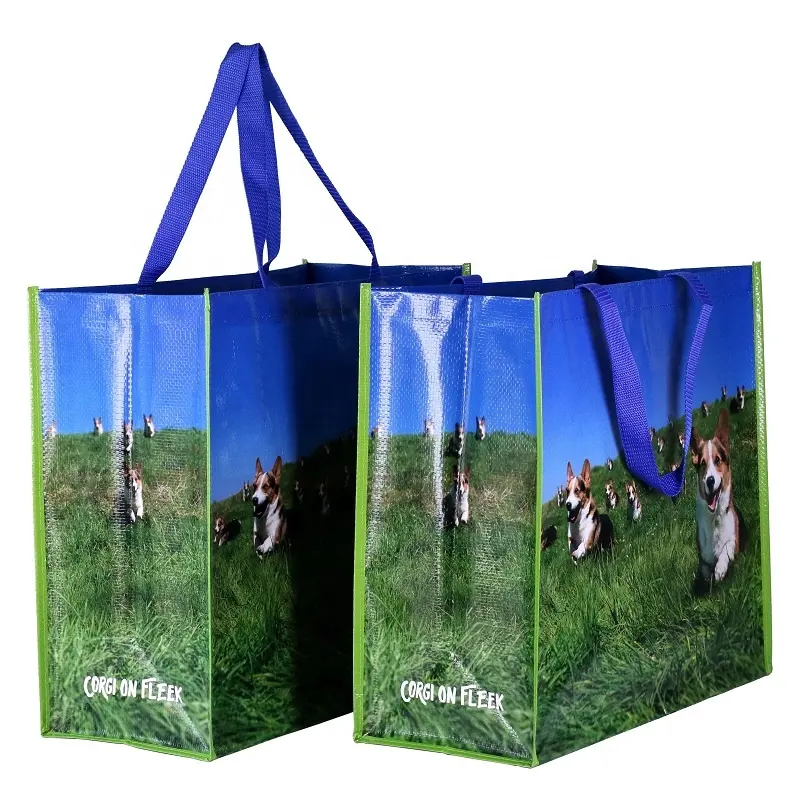 Custom Print Afbreekbare Eco Tas Gelamineerd Pp Geweven Boodschappentas In Doos Verpakking Voor Supermarkt