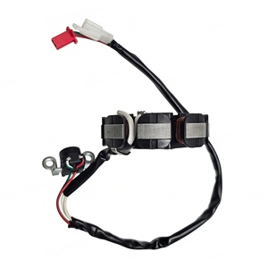 Nuevo <span class=keywords><strong>Magneto</strong></span> de Encendido de Motor de Pedal de CC de 8 Polos DUOGAO YMH-100/110cc, Piezas de Latón - Product Image 2