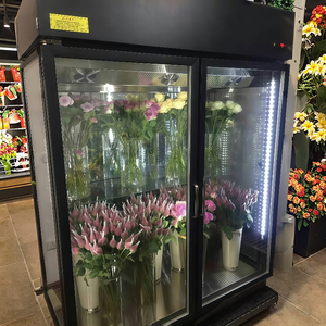 Vaness Seoul k-design Cooler: Kính chân không & kệ xoay cho các cửa hàng hoa nhỏ gọn - Product Image 1