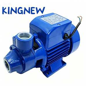 0.5HP QB60 Peripheral Water Pump High Pressure Self Priming Pump Small QB60 Clean Water Pump 0.5HP for Domestic Use, High <strong>Flow</strong> - Product Image 2