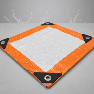 Bâche <span class=keywords><strong>en</strong></span> PE ou Rouleau de Bâches pour Bateaux/Camions – Couverture Extérieure – Vente Directe Usine – Imperméable – Autres Tissus Tissés Sakoline - Product Image 2