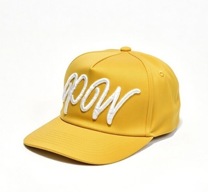 Casquette de baseball vintage brodée Wangsheng <span class=keywords><strong>PW</strong></span> en jean respirant, imperméable, délavé, effet dégradé, avec boucle métallique en forme de dôme (lot de 5) - Product Image 4