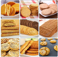 Nouvelle ligne de production de biscuits Lady Finger Peach Crisp Rusk, machine de traitement de la farine hautement automatisée, acier inoxydable 304, marque NP