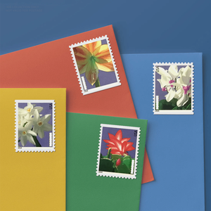 <span class=keywords><strong>Timbres</strong></span>-poste Forever 2000 de haute qualité les mieux notés, motif Quatre Fleurs, 100 <span class=keywords><strong>timbres</strong></span> drapeau américain, étiquettes patriotiques postales américaines, stock local américain - Product Image 6
