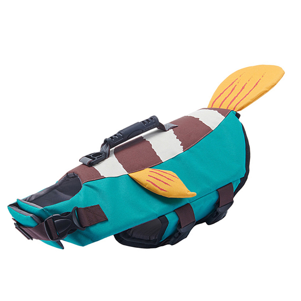 Teal Blue Clownfish