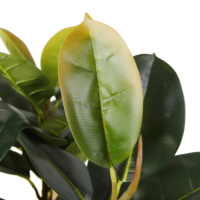 Offre Spéciale 75cm Chêne artificiel Vif Indien En Caoutchouc Faux Pots Plantes Pour La Décoration de Maison Et De Fête