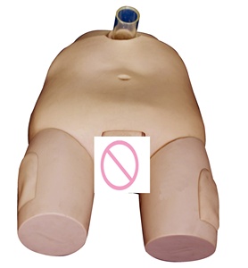 Model latihan irigasi kandung kemih pria/wanita, keterampilan kateterisasi dan Simulator operasi tusukan - Product Image 2