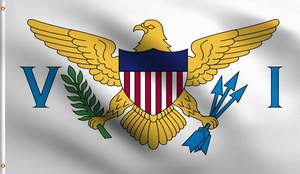 Islas Vírgenes Bandera de EE. UU. 3x5 pies Colores vibrantes Poliéster Interior/Exterior Resistente a los rayos UV Lite Wave Entrega rápida Bandera de país personalizada - Product Image 6