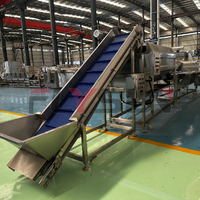Multifunctionele complete productielijn voor diepvries snacks, inclusief continue transportband en friteuse