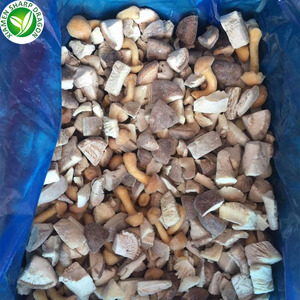 Hongos <span class=keywords><strong>Boletus</strong></span> Edulis cultivados congelados IQF, hongo fresco entero, fuente saludable, precio competitivo - Product Image 6