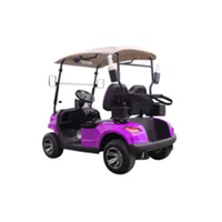 Voiture de chasse électrique tout-terrain 2 places avec pneus tout-terrain et autonomie de 90 km pour la patrouille hôtelière et le camping en plein air