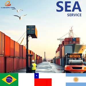 Il prezzo più basso per il trasporto via mare dalla Cina al Brasile, Cile e Argentina, con servizio dddp (consegnato a pagamento) - Product Image 3