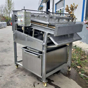 Máquina Peladora de Camarones Eléctrica Multifuncional de Alta Velocidad / Máquina Peladora de Langostinos - Product Image 2