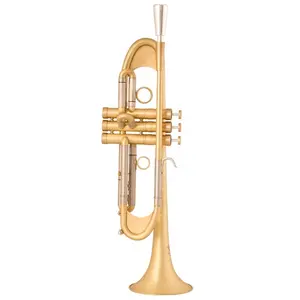 Pro B-flat Plus Heavy Trumpet Band Playing Pro Grade Plus Heavy Trumpet Brushed Gold