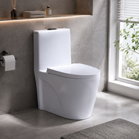 WC en céramique monobloc, design moderne et épuré, pour usage domestique et hôtelier, à poser au sol, avec évacuation arrière, désodorisant, grand diamètre