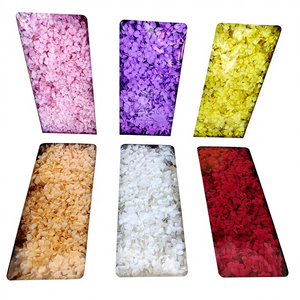 Flores de Hortensia Anna Preservadas de Grado AB de 100 g con Tacto Natural en Caja para Decoraciones Navideñas y de Boda Hechas a Mano - Product Image 2