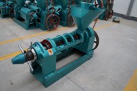 Nueva Prensa de Aceite en Frío Semiautomática YZYX120 de 270 Kg por Hora para Aceite de Sésamo, Semillas de Girasol, Mostaza, Soja y Cacahuete