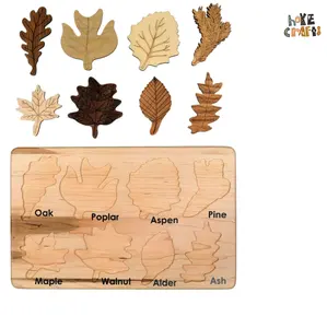 Giocattolo educativo Top brillante forma educativa abbinamento puzzle foglia giocattoli cognitivi in legno foglia di puzzle per bambini che imparano la natura
