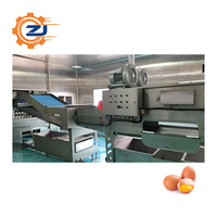 Machine commerciale de séparation de coquilles d'oeufs et de liquides Machine de craquage d'oeufs de canard Machine de tri d'oeufs
