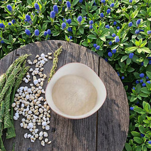 Высококачественный дегидрированный картофельный порошок мелкого помола, 100% чистый картофель для приготовления картофельного пюре и других блюд - Product Image 5