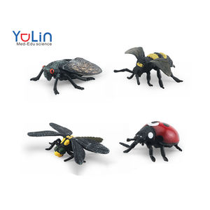 Petit ensemble de jeu de <span class=keywords><strong>Camping</strong></span> jouets Pvc insecte jouet ensemble jeu de plein air <span class=keywords><strong>Camping</strong></span> trouver insecte - Product Image 1