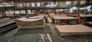Madera contrachapada personalizable de Keruing indonesio, paneles decorados multicapa de alta calidad, pino estándar de formaldehído E0 para uso hospitalario - Product Image 2