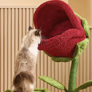 Arbre à chat moderne et écologique à 2 niveaux avec griffoir intégré, idéal pour les petits appartements - Product Image 4