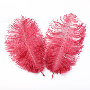 Khuyến Mại Trang Trí Đám Cưới Nhuộm Tẩy Lông Đà Điểu Không tốn kém Thay Thế Cho Đẹp Số Lượng Lớn 25-30Cm Seashell of005 - Product Image 1