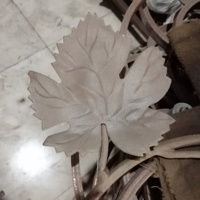 Feuille de vigne en acier forgé