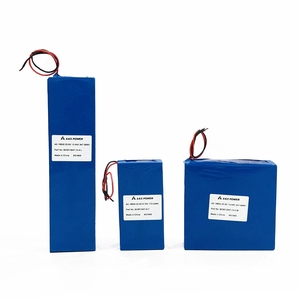 Batterie au lithium-ion plate 18650 25,9 V 10 Ah 259 Wh 7S2P hautement personnalisable et entièrement rechargeable avec boîtier métallique ou ABS - Product Image 5