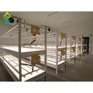 Étagère à double niveau pour la culture de graines, pour la clonage en agriculture, serre, salle de clonage - Product Image 2