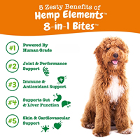 Supplément probiotique à mâcher pour chien Suppléments multifonctionnels pour chiens Chiens et chats Complément holistique en poudre pour le corps total 2 ans