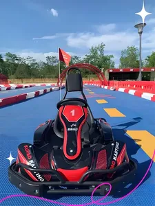 Diversión en el Parque Infantil Interior: Fácil de Conducir, Difícil de Detener, el Kart Favorito de los Niños - Product Image 1