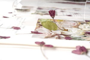 Begonia-Tarjeta Bud artesanal, fabricación de plantas naturales respetuosas con el medio ambiente, botanicales prensados reales - Product Image 3