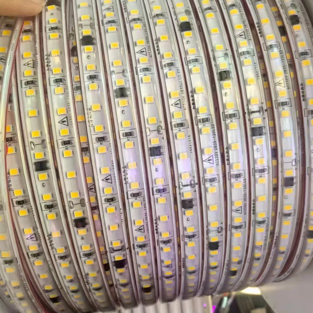 2835 100m 220V IP65 LED Flexible Strip Light with Remote Control & for Dimmable for Garden Use