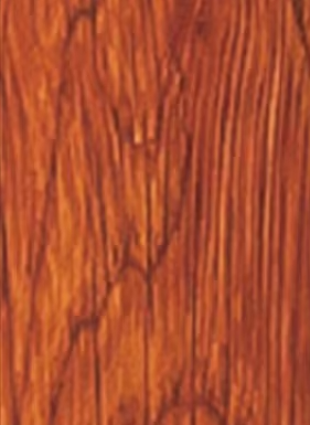 โกลเด้นโอ๊ค