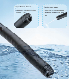 Tubo Óptico Flexible Dawei, Examen <span class=keywords><strong>Gastrointestinal</strong></span> de Mascotas en Clínicas, Máquina de Gastroscopio Veterinario - Product Image 5