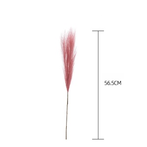 หญ้าแพมพัสฟูฟ่อง 56.5 ซม. ของตกแต่งสไตล์โบโฮ ดอกไม้ประดิษฐ์ ต้นกกจำลอง สำหรับงานแต่งงาน งานปาร์ตี้ ตกแต่งบ้าน ดอกไม้ประดิษฐ์ - Product Image 5