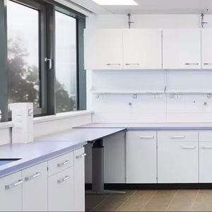 Epoxyhars Laboratoriumbank 98 Procent Zwavelzuur Proof Custom Veiligheid Douche Laboratoriummeubilair - Product Image 1