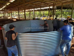 Tanque de 28000L, Diámetro 5M x Altura 1.45M, para Cultivo de Bagre, Tilapia y Otros Peces, Equipo de Acuicultura - Product Image 4