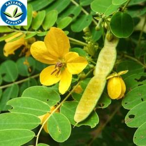 Aceite esencial de Casia premium: precios al por mayor de India puro y natural para masaje de aromaterapia crecimiento del cabello y cosméticos - Product Image 6